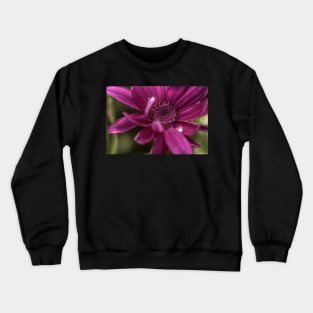 Senetti Water Droplet Crewneck Sweatshirt